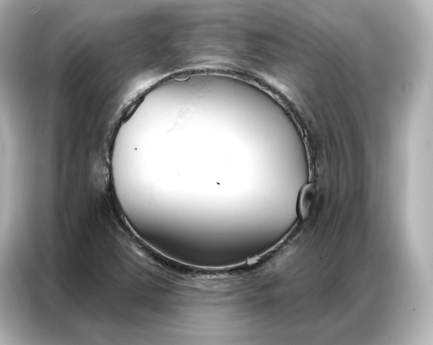 X0000086901363200704301008