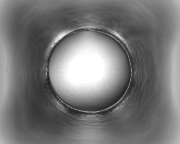 X0000086901367200704301008