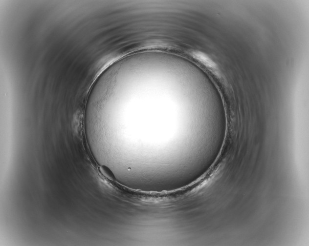 X0000086901369200704301008