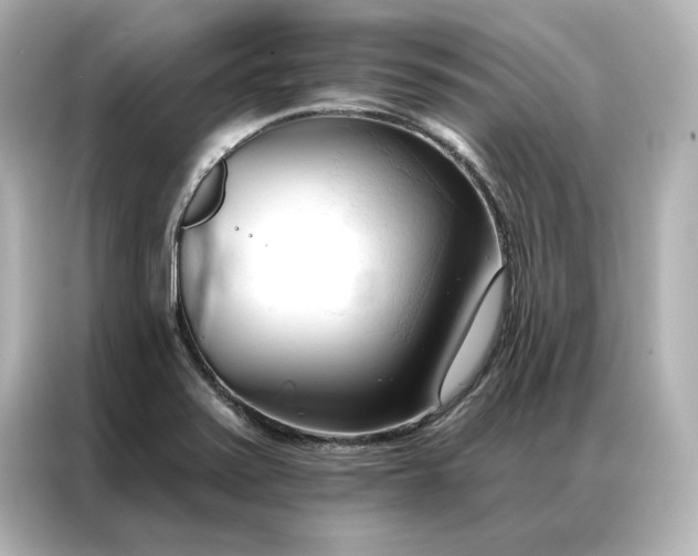 X0000086901371200704301008