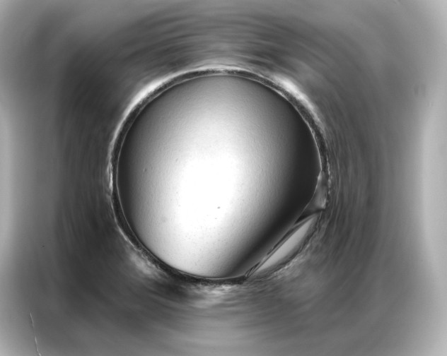 X0000086901372200704301008