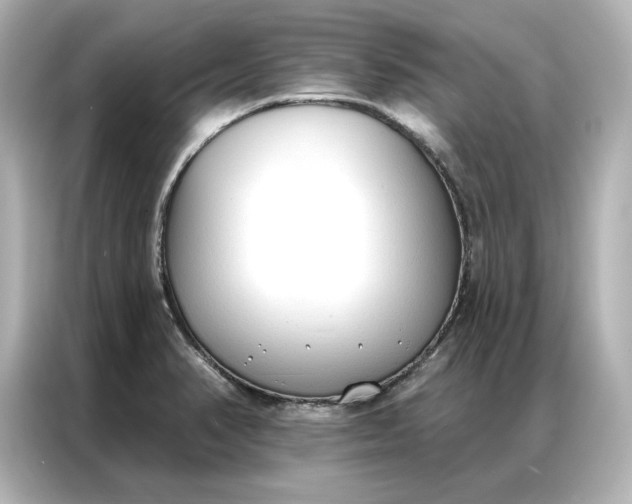 X0000086901374200704301008