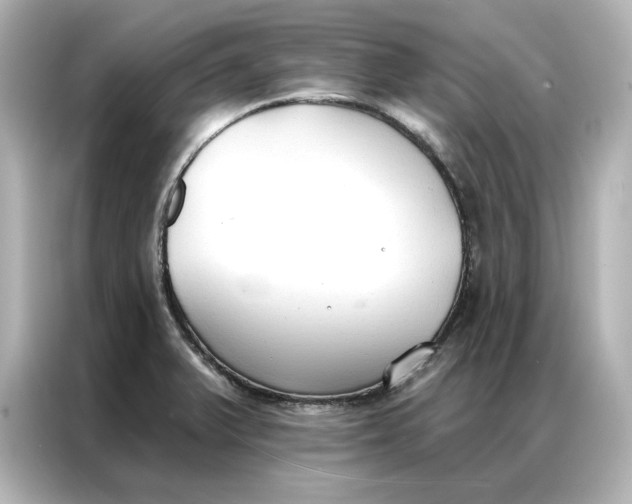 X0000086901375200704301008