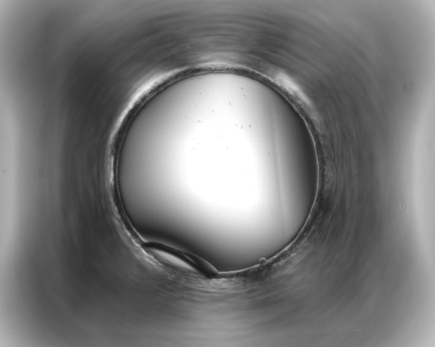 X0000086901376200704301008