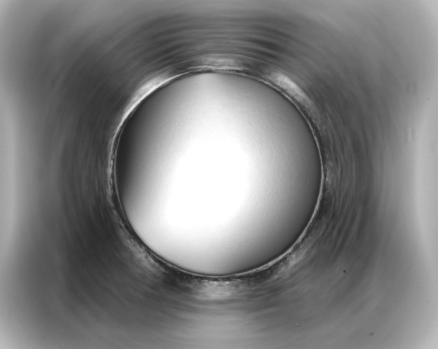 X0000086901378200704301008