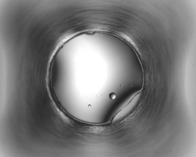 X0000086901379200704301008