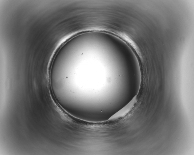 X0000086901380200704301008