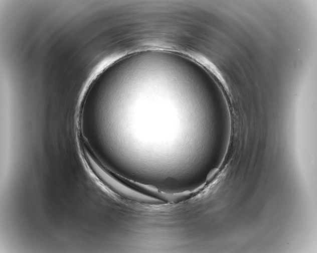 X0000086901381200704301008