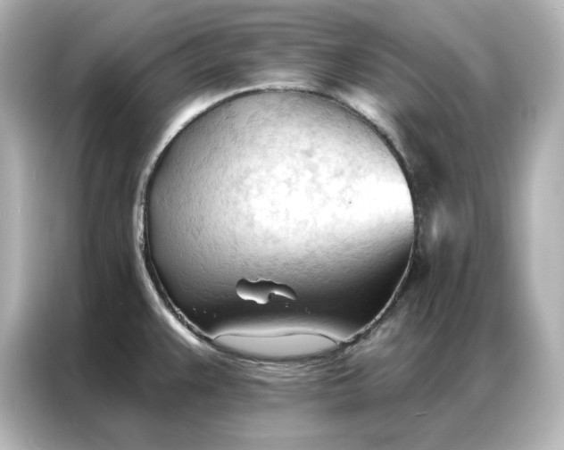 X0000086901383200704301008