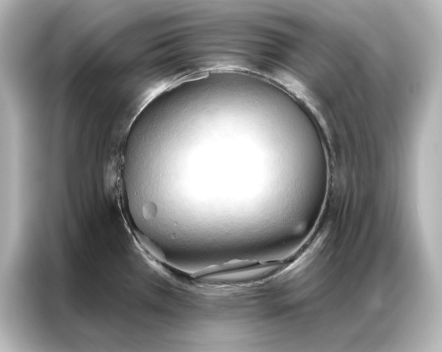 X0000086901385200704301008