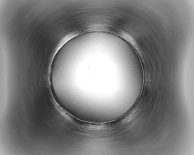 X0000086901386200704301008