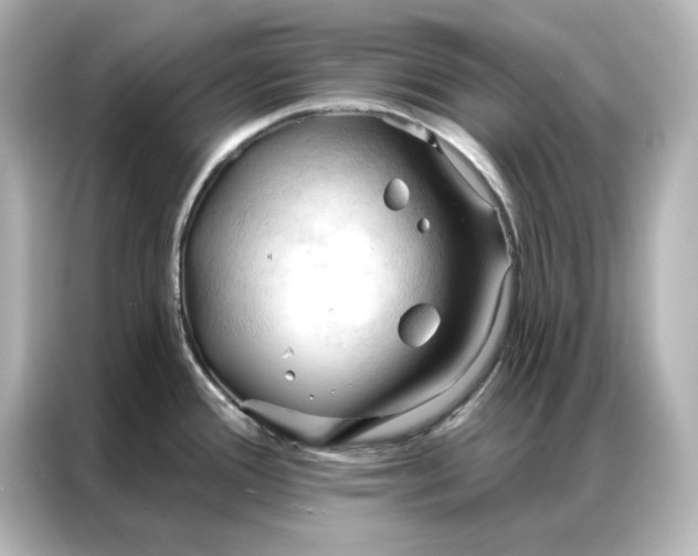 X0000086901388200704301008