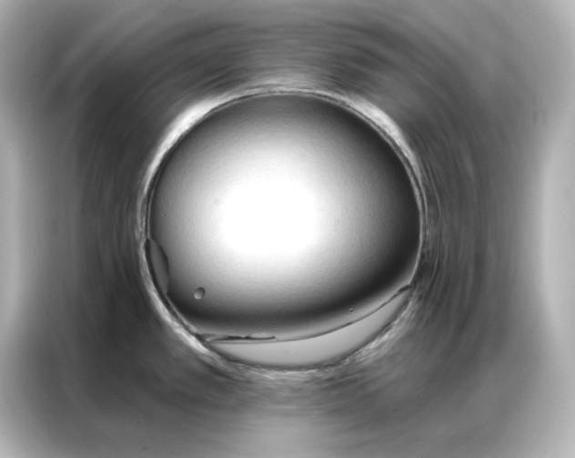 X0000086901389200704301008