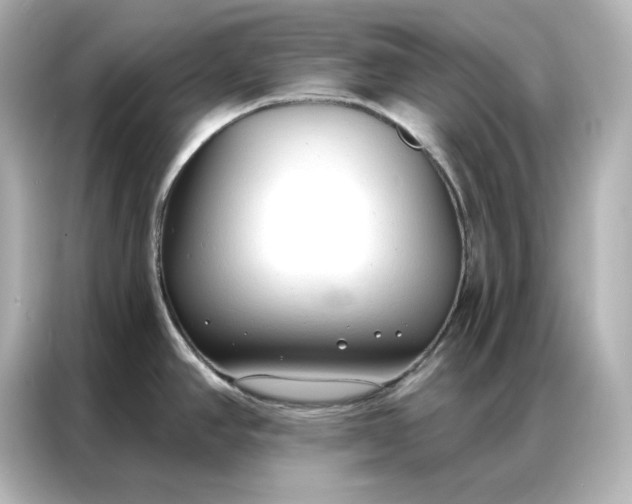 X0000086901390200704301008