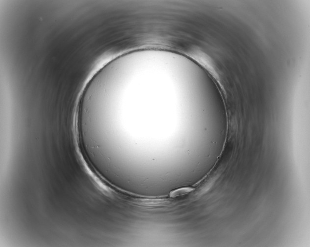 X0000086901391200704301008