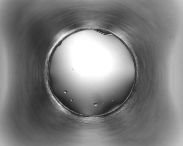 X0000086901392200704301008