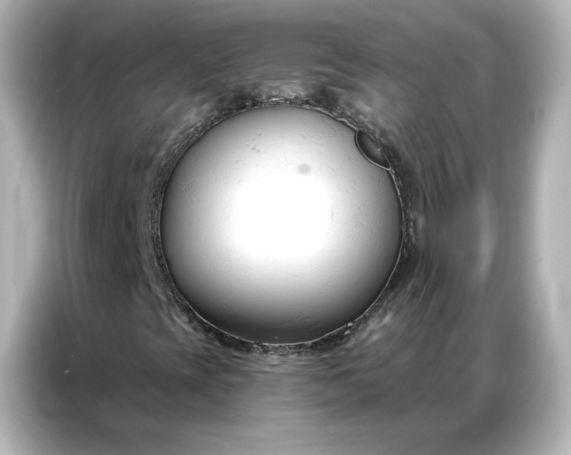 X0000086901393200704301007