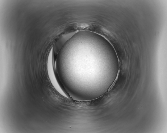 X0000086901394200704301007