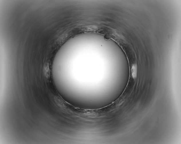 X0000086901395200704301007