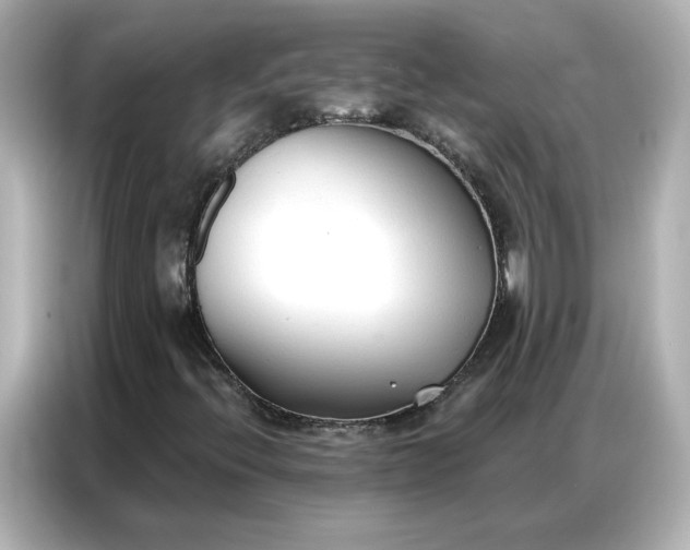 X0000086901396200704301007