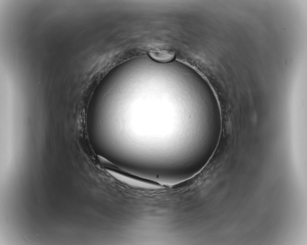 X0000086901397200704301008