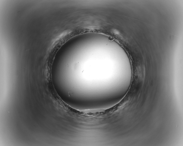 X0000086901398200704301008