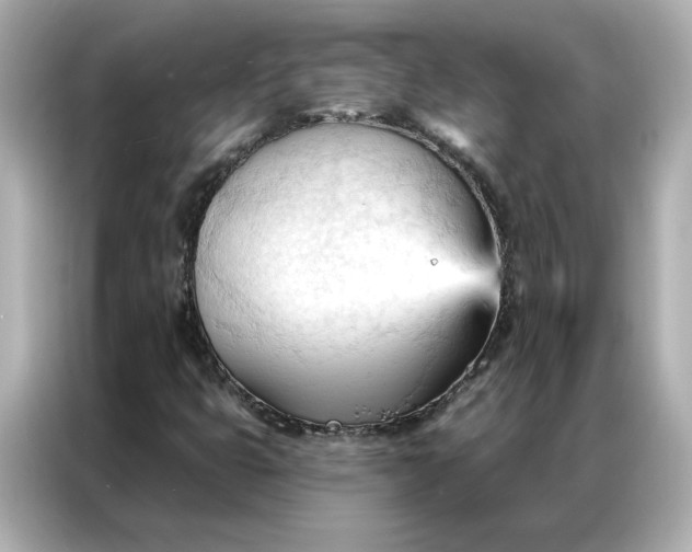 X0000086901399200704301008