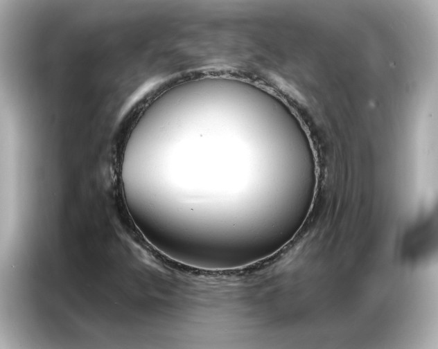 X0000086901400200704301008