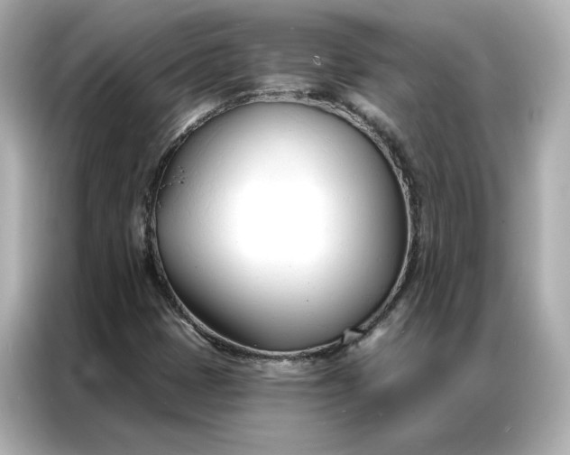 X0000086901401200704301008