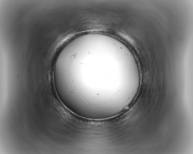 X0000086901407200704301008