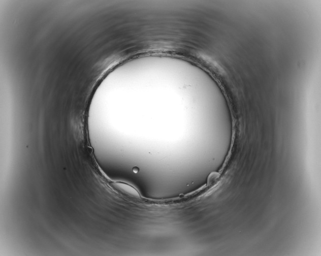 X0000086901409200704301008