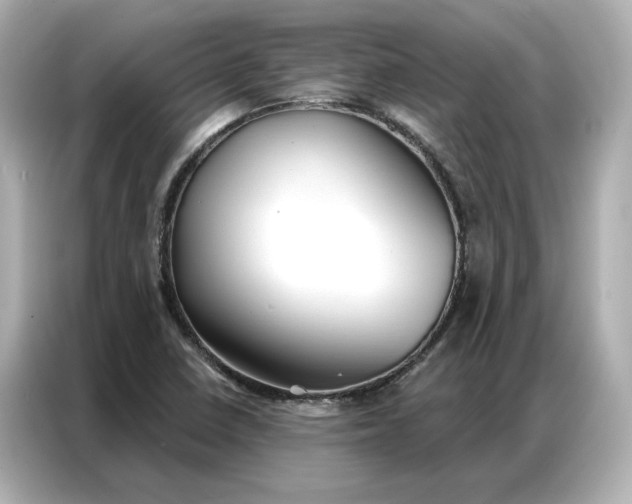 X0000086901410200704301008