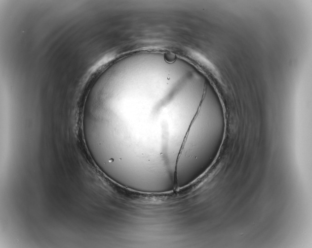 X0000086901411200704301008