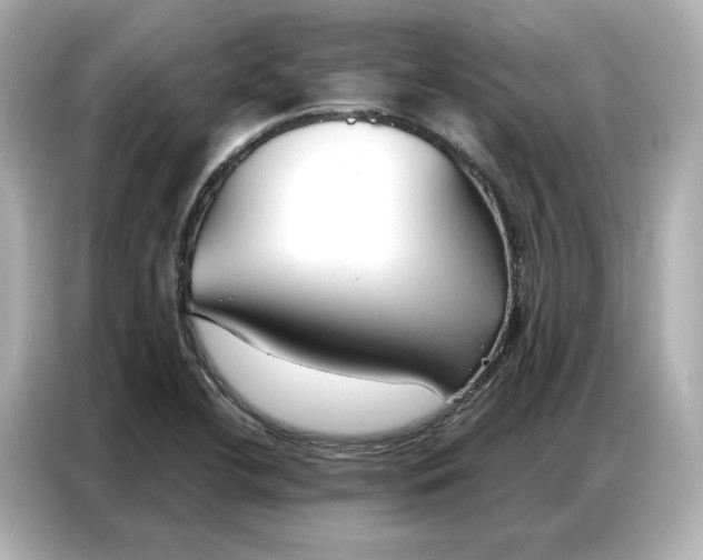 X0000086901412200704301008