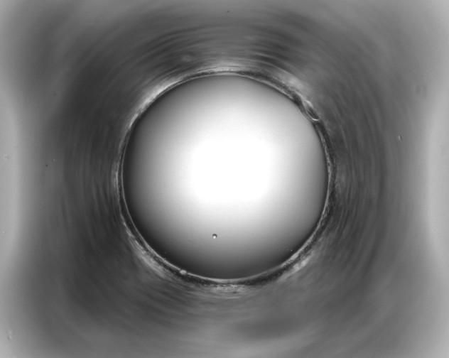 X0000086901417200704301008