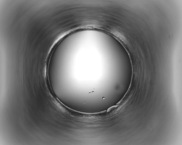 X0000086901420200704301008