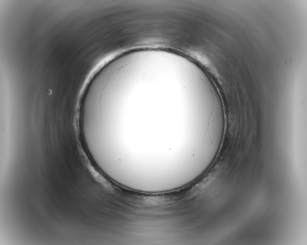 X0000086901421200704301008