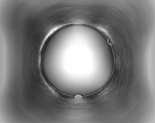 X0000086901424200704301008