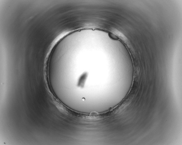 X0000086901427200704301008