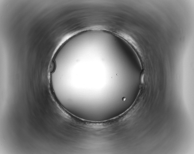 X0000086901428200704301008