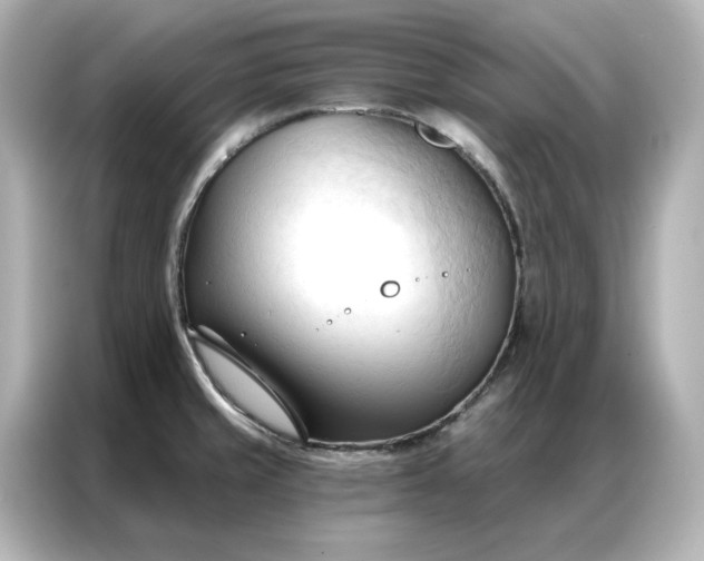 X0000086901429200704301008