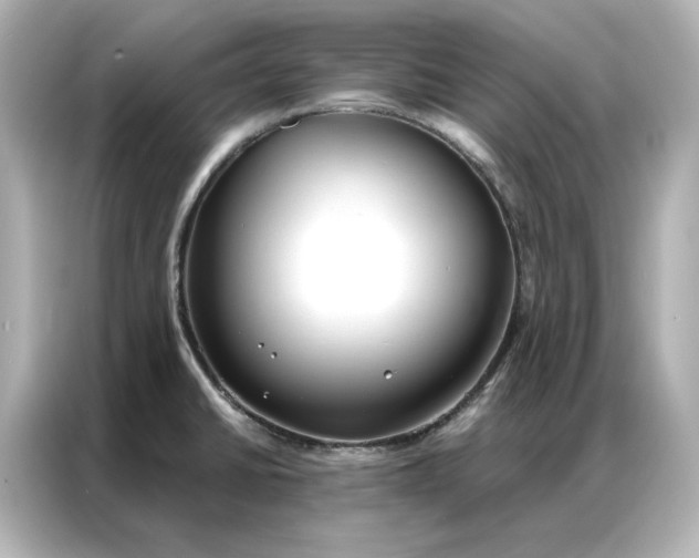 X0000086901430200704301008