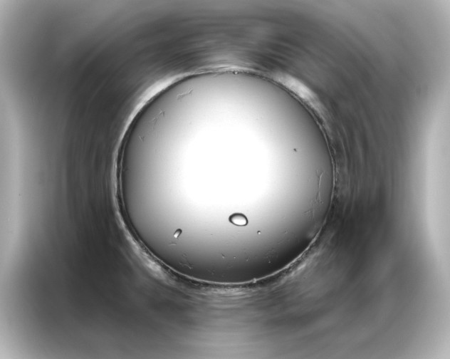 X0000086901431200704301008