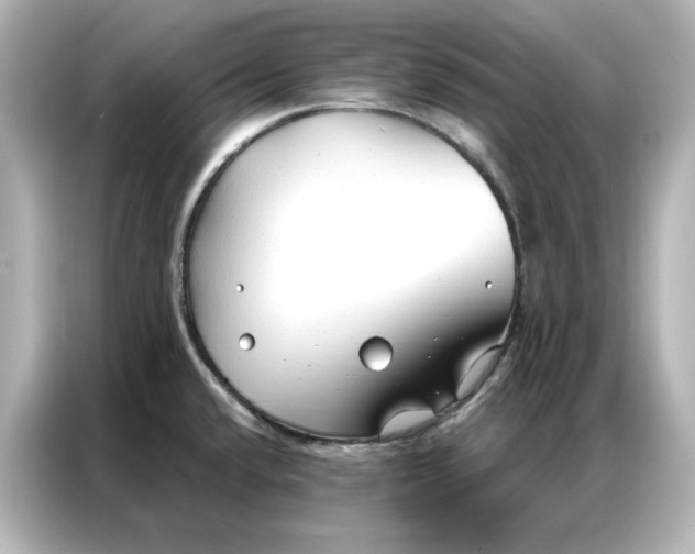 X0000086901432200704301008