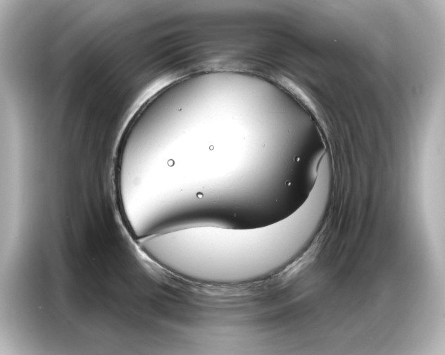 X0000086901434200704301008