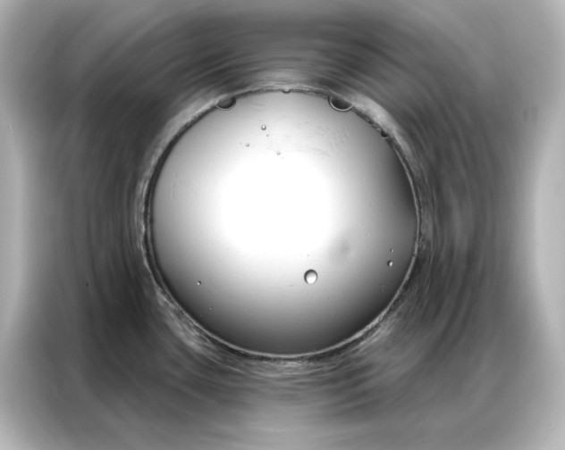 X0000086901435200704301008