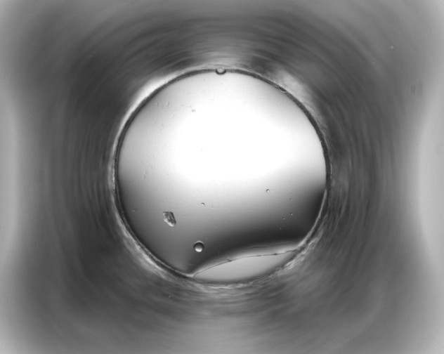 X0000086901436200704301008