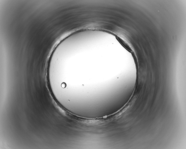 X0000086901437200704301008