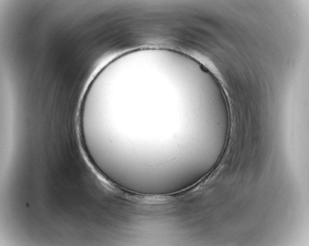 X0000086901440200704301008