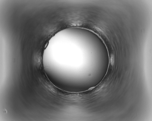 X0000086901444200704301007